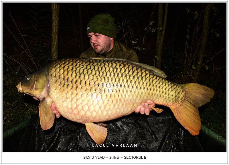 Silviu Vlad - 21,1kg, Sectorul B.jpg