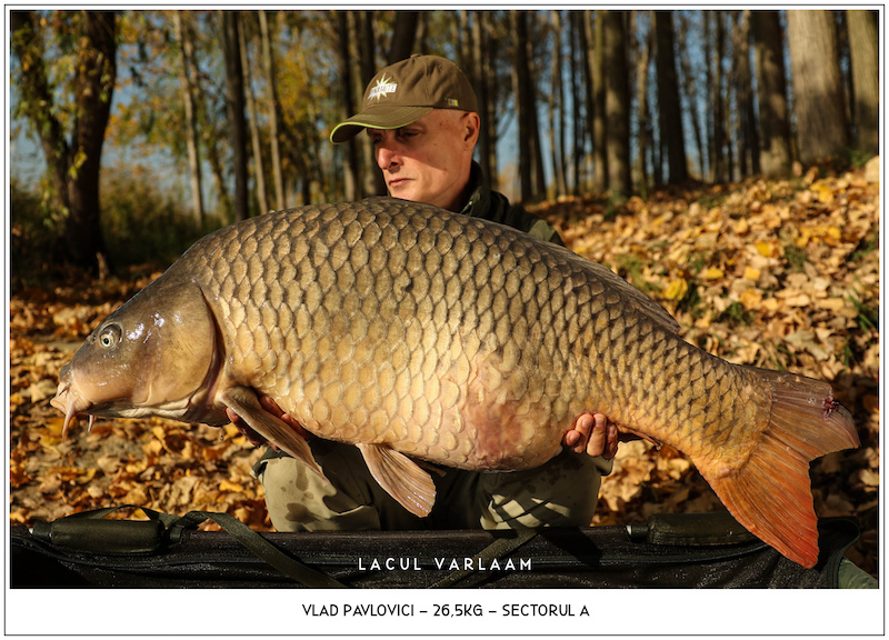 Vlad Pavlovici - 26,5kg, Sectorul A.jpg