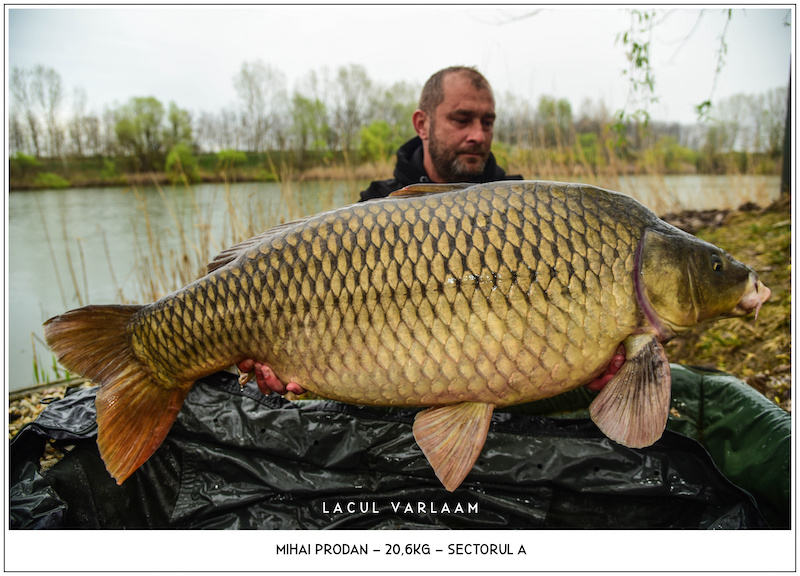 Mihai Prodan - 20,6kg, Sectorul A.jpg