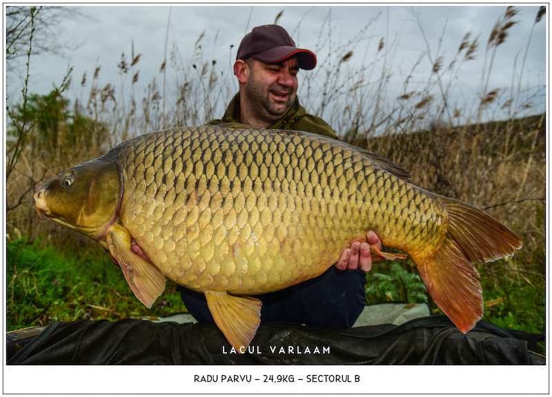 Radu Parvu - 24,9kg, Sectorul B.jpg