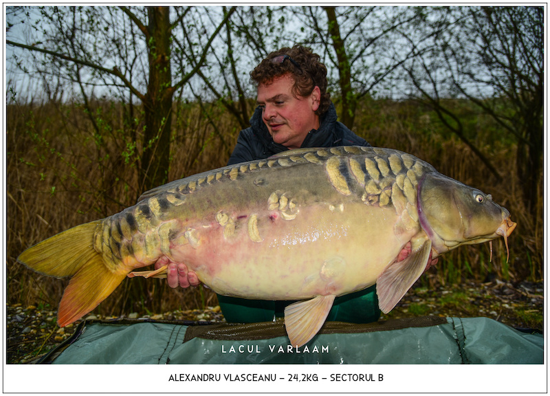 Alexandru Vlasceanu - 24,2kg, Sectorul B.jpg