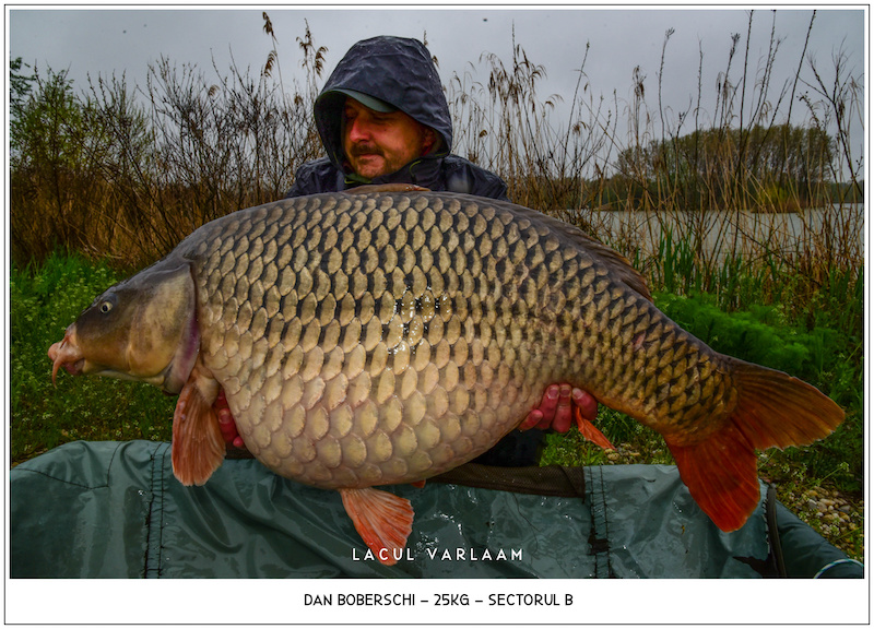 Dan Boberschi - 25kg, Sectorul B.jpg