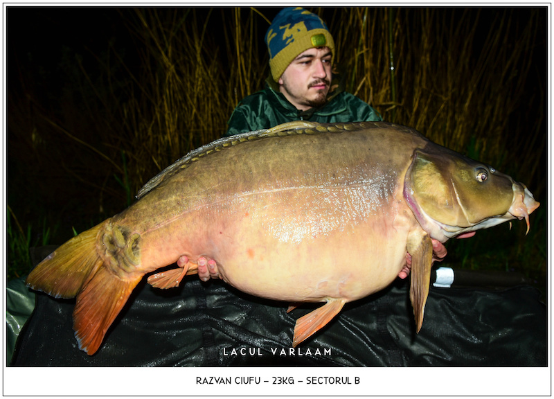 Razvan Ciufu - 23kg, Sectorul B.jpg