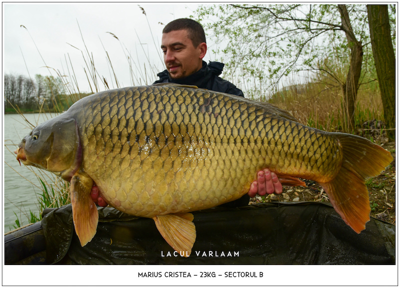 Marius Cristea - 23kg, Sectorul B.jpg