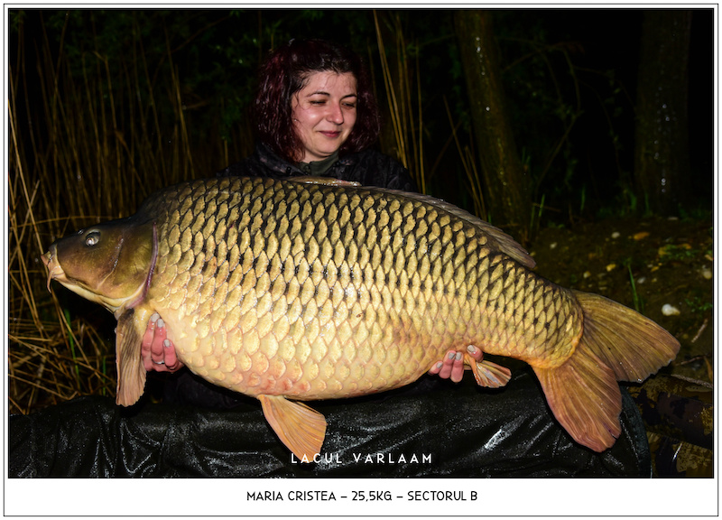 Maria Cristea - 25,5kg, Sectorul B.jpg