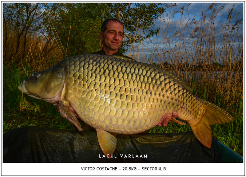 Victor Costache - 20,8kg, Sectorul B.jpg