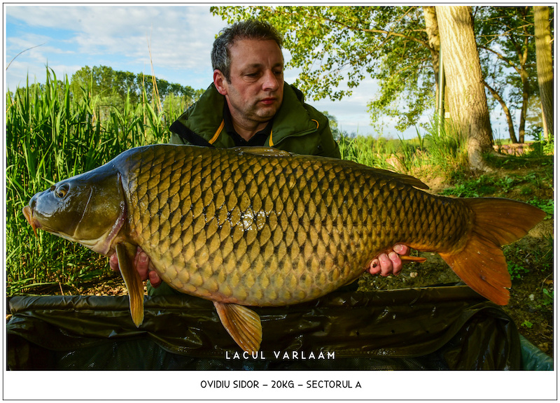 Ovidiu Sidor - 20kg, Sectorul A.jpg