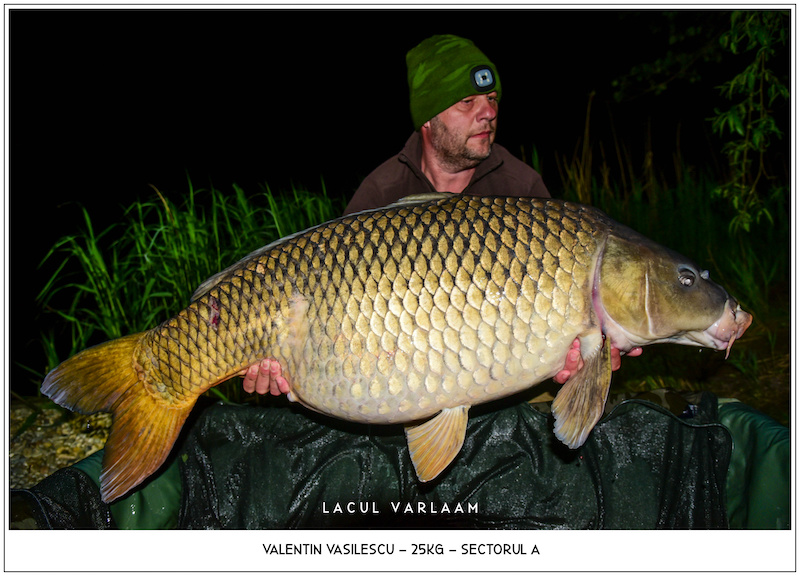 Valentin Vasilescu - 25kg, Sectorul A.jpg