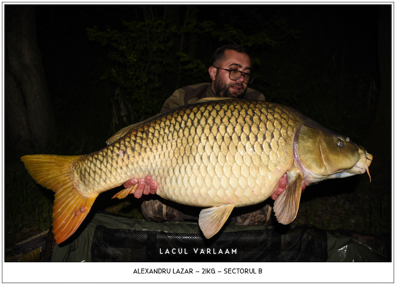 Alexandru Lazar - 21kg, Sectorul B.jpg