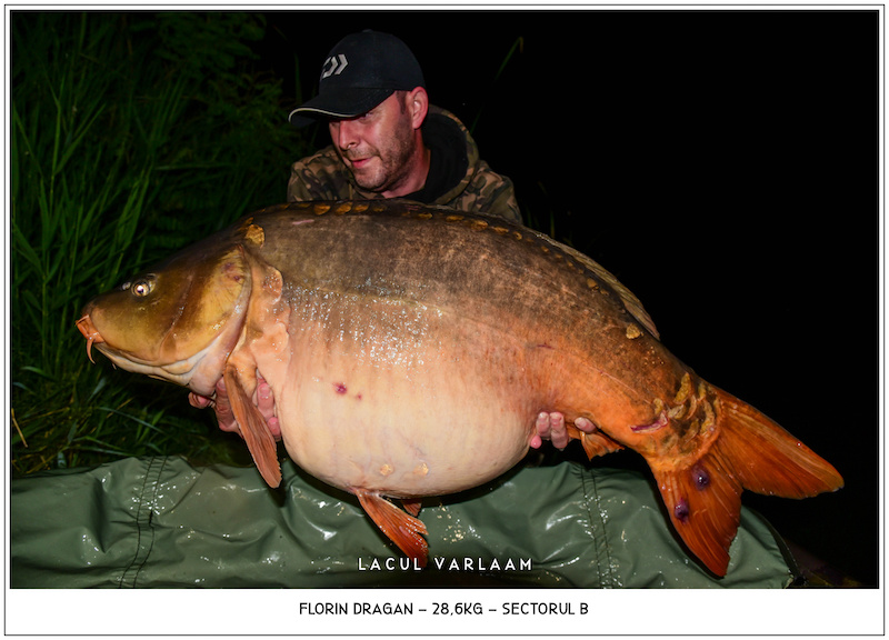 Florin Dragan - 28,6kg, Sectorul B.jpg