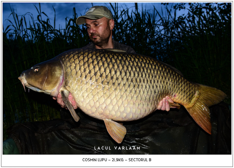 Cosmin Lupu - 21,9kg, Sectorul B.jpg