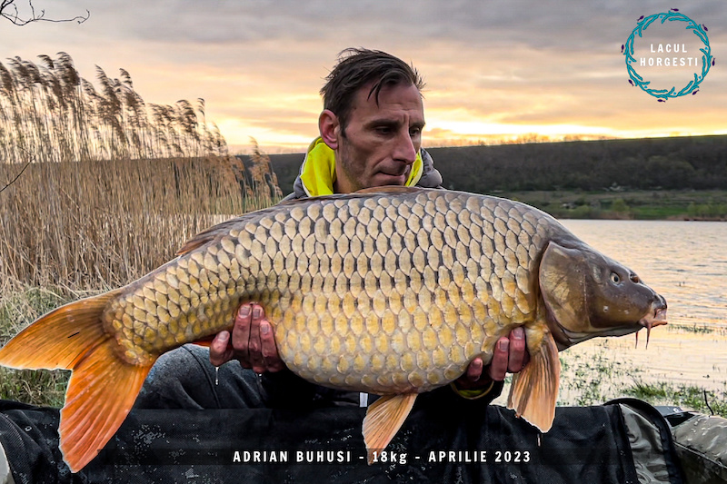 Adrian Buhusi - 18kg, aprilie 2023.jpg