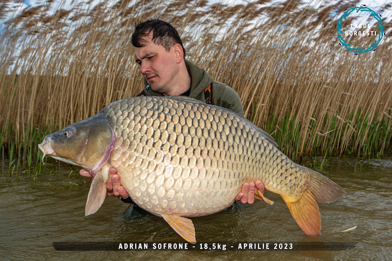 Adrian Sofrone - 18,5kg.jpg