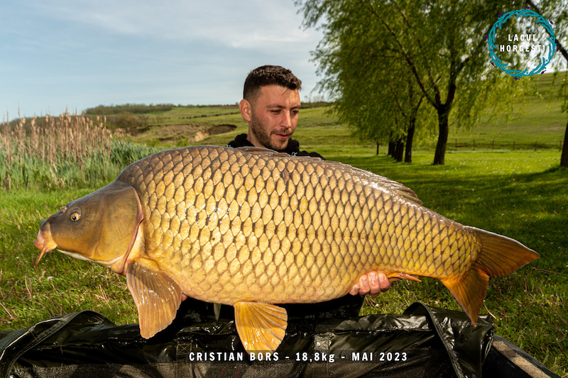 Cristian Bors - 18,8kg.jpg