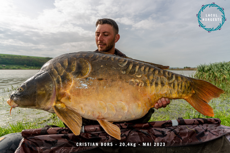 Cristian Bors - 20,4kg.jpg