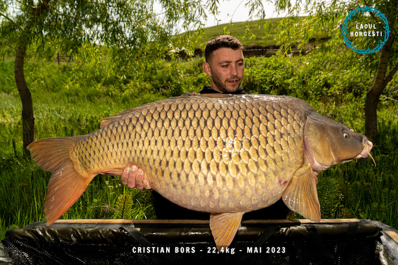 Cristian Bors - 22,4kg.jpg