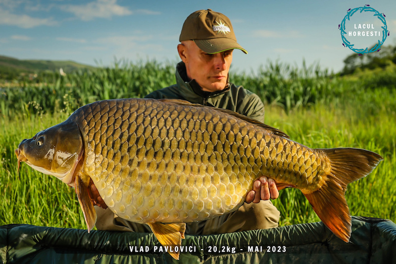 Vlad Pavlovici - 20,2kg.jpg