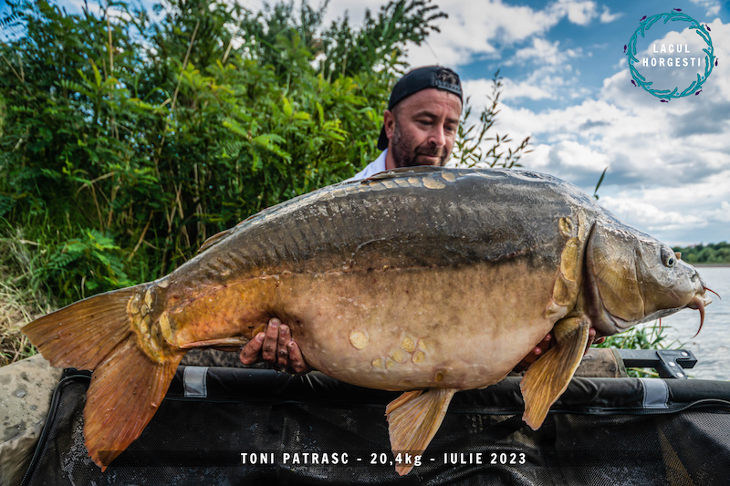 Toni Patrasc - 20,4kg.jpg