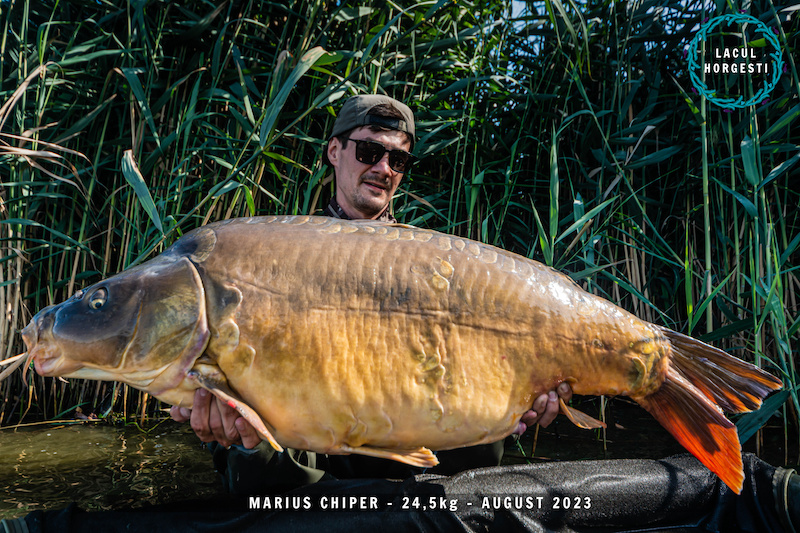 Marius Chiper - 24,5kg.jpg