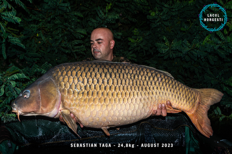 Sebastian Taga - 24,8kg.jpg