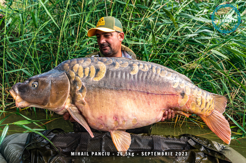 Mihail Panciu - 26,5kg.jpg