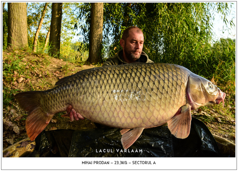 Mihai Prodan - 23,3kg, Sectorul A.jpg