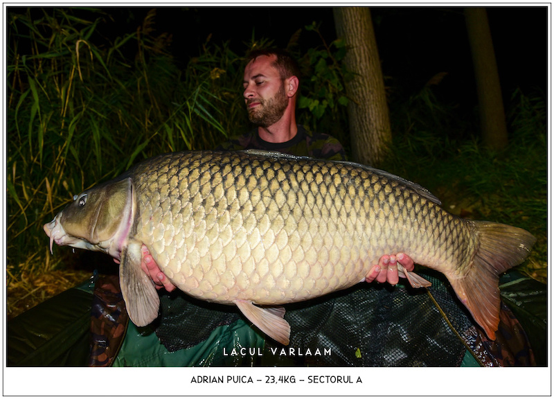 Adrian Puica - 23,4kg, Sectorul A.jpg