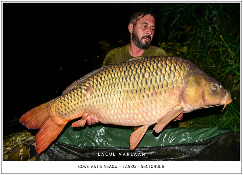 Constantin Neagu - 22,5kg, Sectorul B.jpg