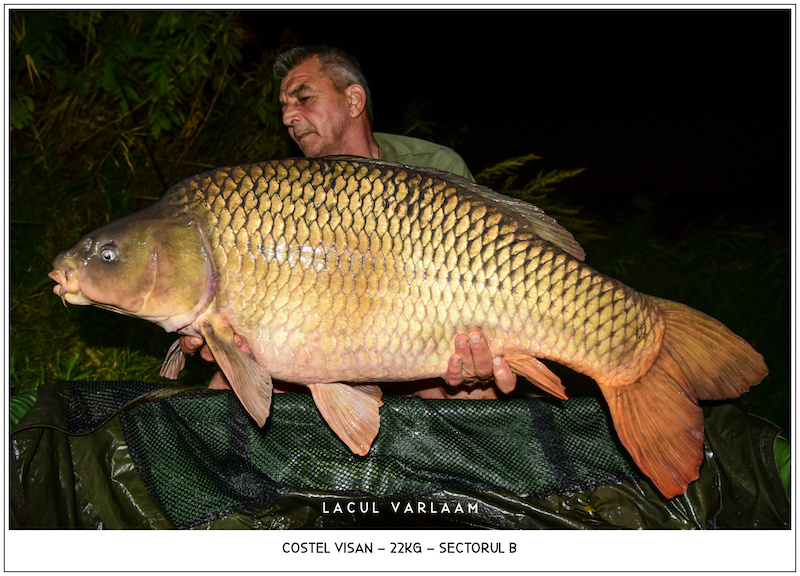 Costel Visan - 22kg, Sectorul B.jpg