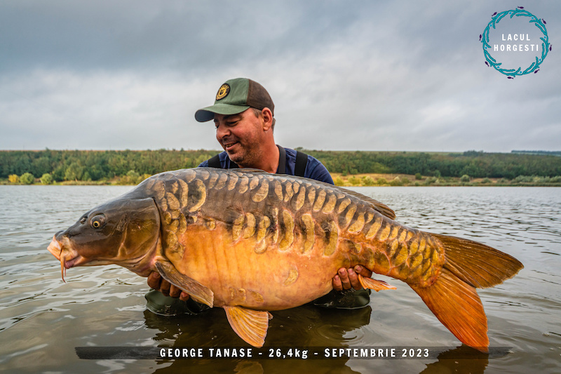George Tanase - 26,4kg.jpg