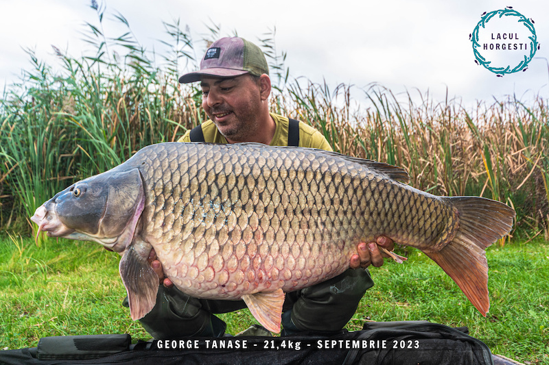 George Tanase - 21,4kg.jpg