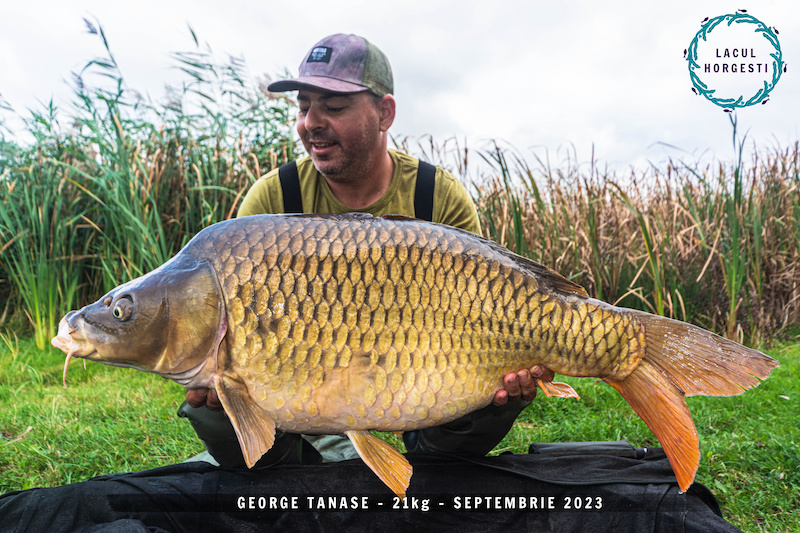 George Tanase - 21kg.jpg