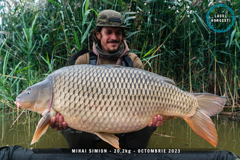 Mihai Simion - 20,2kg.jpg