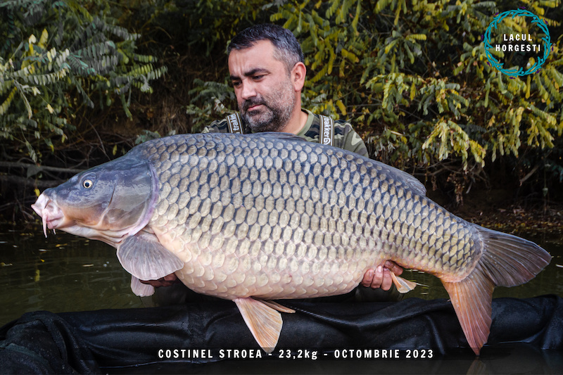 Costinel Stroea - 23,2kg.jpg