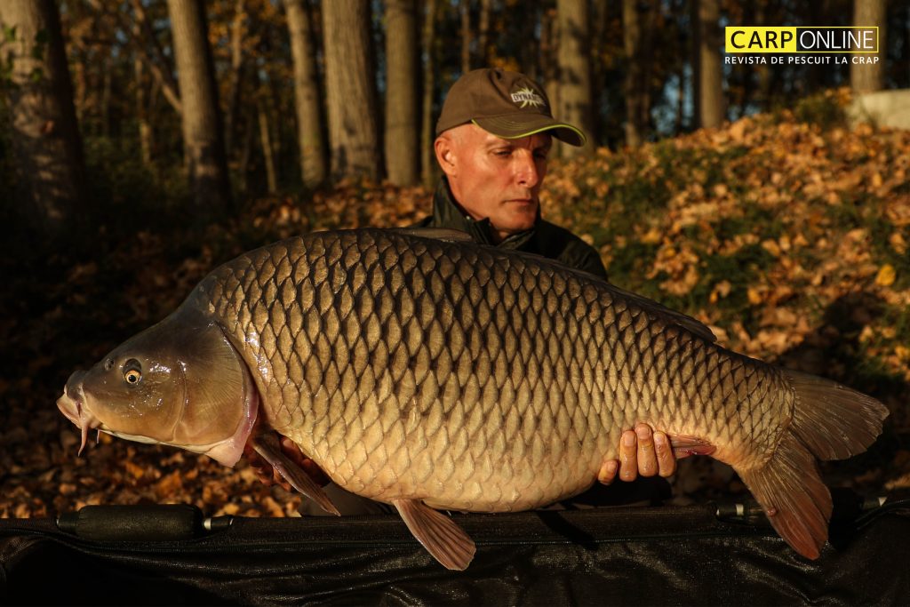 Carp Spirit Herculine