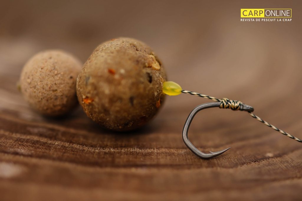Carp Spirit V-Curve