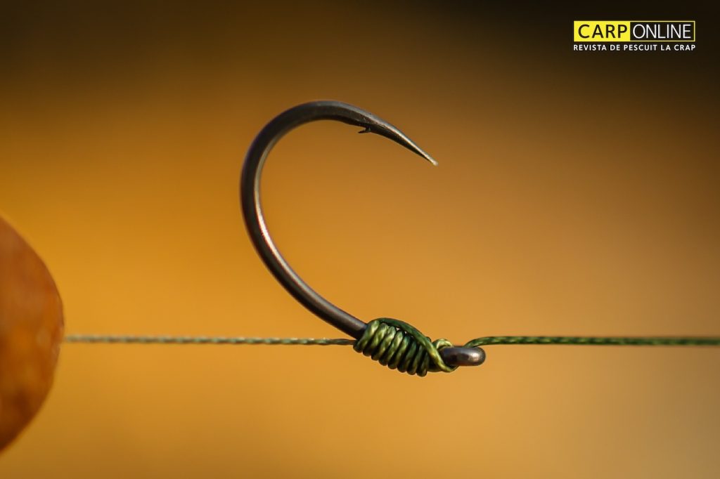Carp Spirit Round Curve 2