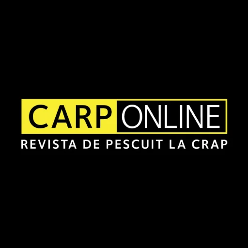 CARPONLINE logo