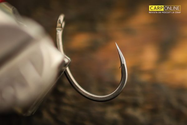 Carp Spirit Round Curve