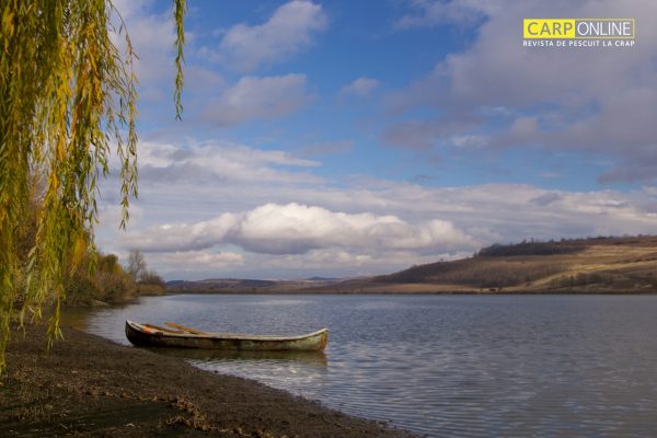 Strategii pentru Horgești, interviu cu Dieter Van Looveren